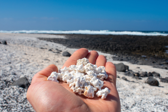 Weiße Steine liegen auf einer offenen Hand, die aussehen wie Popcorn, im Hintergrund das Meer